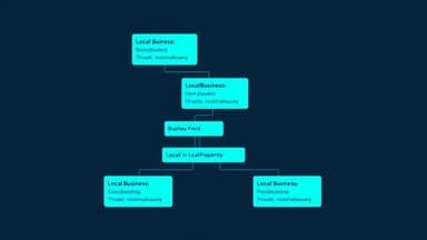 Developer implementing LocalBusiness JSON-LD schema markup on a laptop with structured data validation results shown on screen